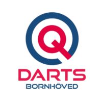 qdarts (1)