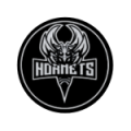 hornets