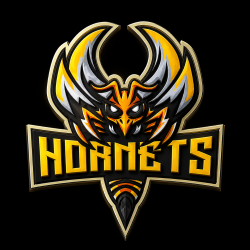 renew_hornets_1000